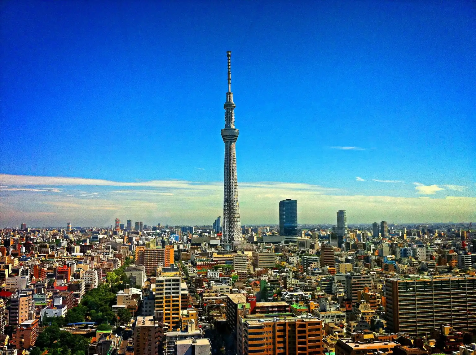 tokyo_tour_img (3)